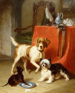 Tres perros